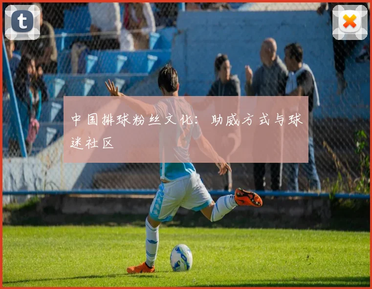 中国排球粉丝文化：助威方式与球迷社区