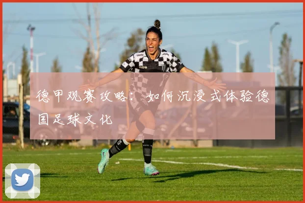 德甲观赛攻略：如何沉浸式体验德国足球文化