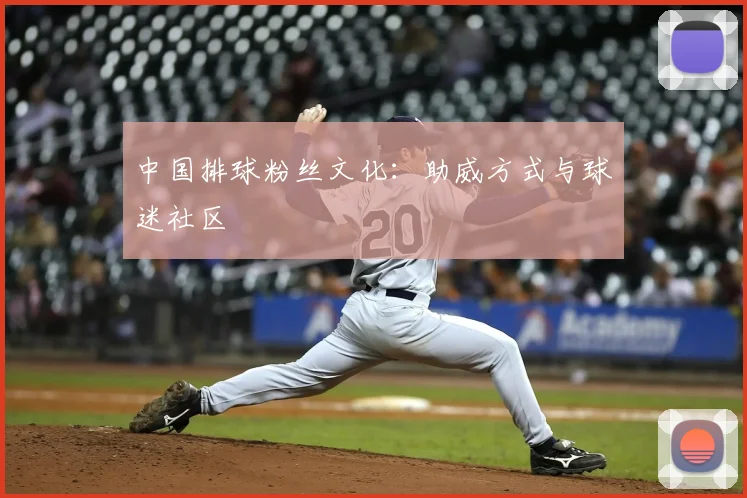 中国排球粉丝文化：助威方式与球迷社区