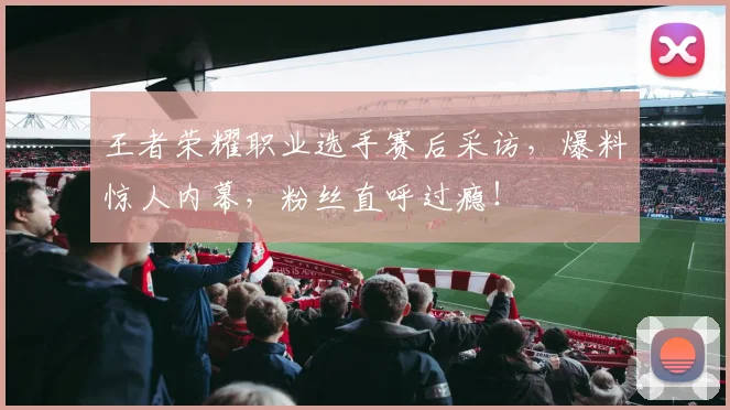 王者荣耀职业选手赛后采访，爆料惊人内幕，粉丝直呼过瘾！